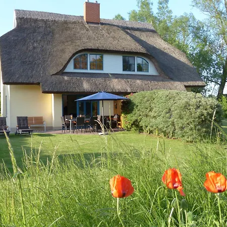 Holiday home Behagliches Reetdachhaus Eibe 1 Puddemin