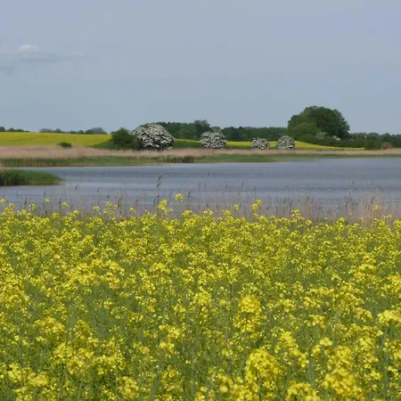 Behagliches Reetdachhaus Eibe 1 펜션 *