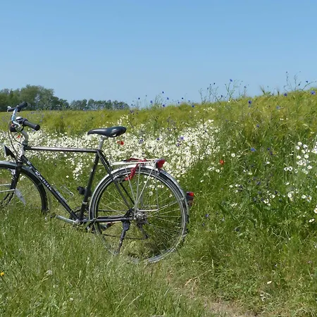 Behagliches Reetdachhaus Eibe 1 *