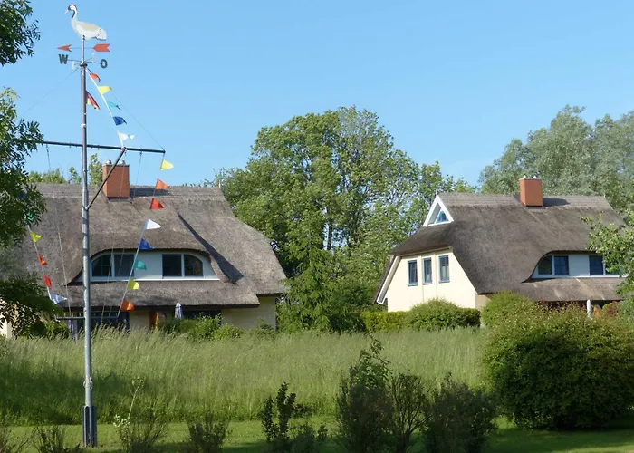 別荘 Behagliches Reetdachhaus Eibe 1 *