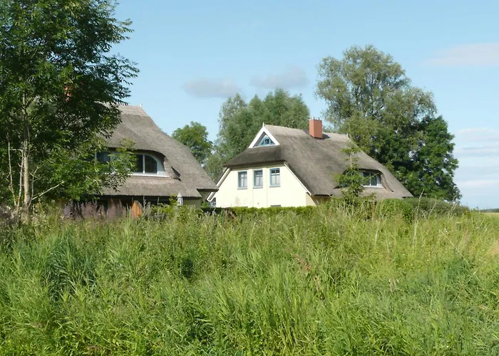 別荘 Behagliches Reetdachhaus Eibe 1 *