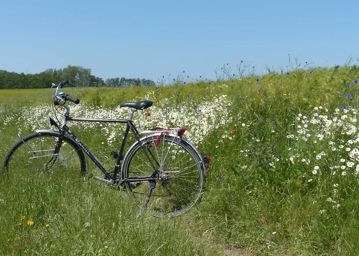 Behagliches Reetdachhaus Eibe 1 *