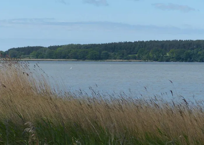 Behagliches Reetdachhaus Eibe 1 別荘 Puddemin