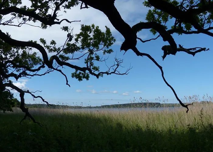 別荘 Behagliches Reetdachhaus Eibe 1 Puddemin